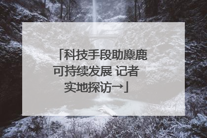 科技手段助麋鹿可持续发展 记者实地探访→