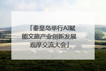 秦皇岛举行AI赋能文旅产业创新发展观摩交流大会