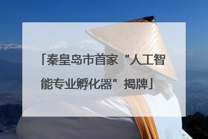 秦皇岛市首家“人工智能专业孵化器”揭牌