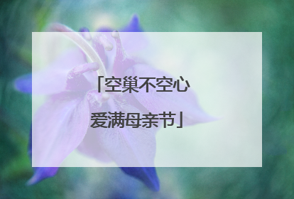 空巢不空心 爱满母亲节