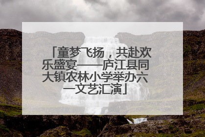 童梦飞扬，共赴欢乐盛宴——庐江县同大镇农林小学举办六一文艺汇演