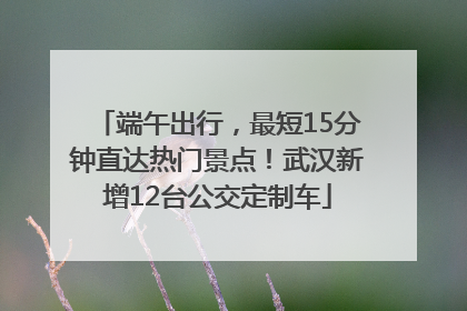 端午出行，最短15分钟直达热门景点！武汉新增12台公交定制车