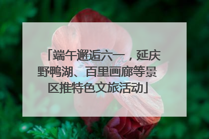 端午邂逅六一，延庆野鸭湖、百里画廊等景区推特色文旅活动