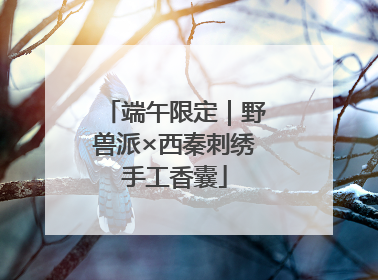 端午限定｜野兽派×西秦刺绣手工香囊