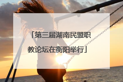 第三届湖南民盟职教论坛在衡阳举行