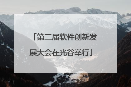 第三届软件创新发展大会在光谷举行