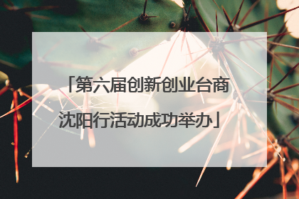 第六届创新创业台商沈阳行活动成功举办