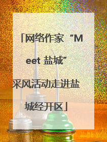 网络作家“Meet 盐城”采风活动走进盐城经开区