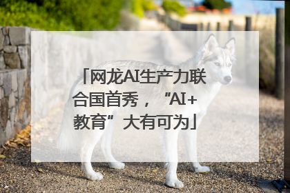 网龙AI生产力联合国首秀，“AI+教育”大有可为
