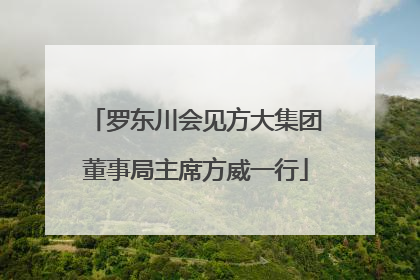 罗东川会见方大集团董事局主席方威一行