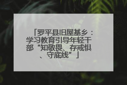 罗平县旧屋基乡：学习教育引导年轻干部“知敬畏、存戒惧、守底线”