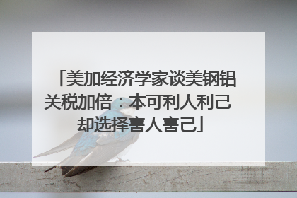 美加经济学家谈美钢铝关税加倍：本可利人利己 却选择害人害己