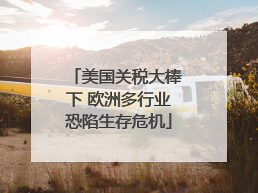 美国关税大棒下 欧洲多行业恐陷生存危机