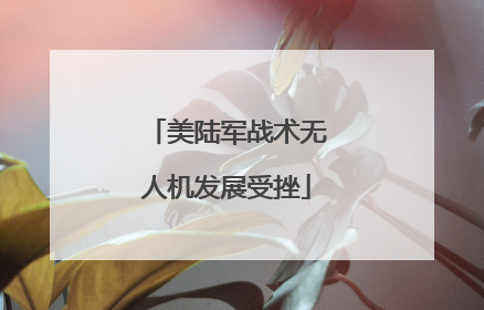 美陆军战术无人机发展受挫