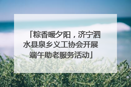 粽香暖夕阳，济宁泗水县泉乡义工协会开展端午助老服务活动