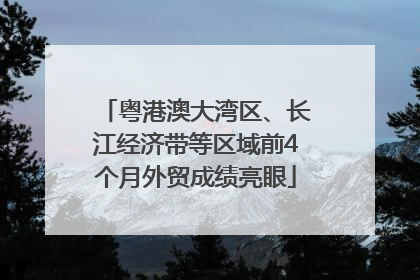 粤港澳大湾区、长江经济带等区域前4个月外贸成绩亮眼
