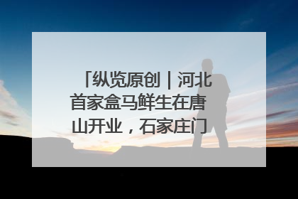 纵览原创｜河北首家盒马鲜生在唐山开业，石家庄门店预计8月开业