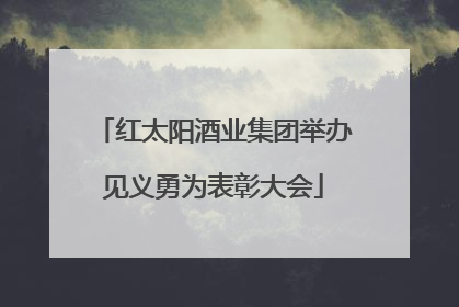红太阳酒业集团举办见义勇为表彰大会