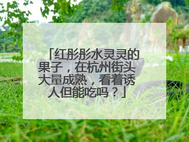 红彤彤水灵灵的果子，在杭州街头大量成熟，看着诱人但能吃吗？