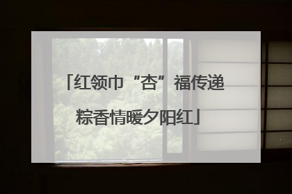 红领巾“杏”福传递 粽香情暖夕阳红