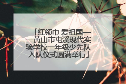 红领巾 爱祖国——黄山市屯溪现代实验学校一年级少先队入队仪式圆满举行