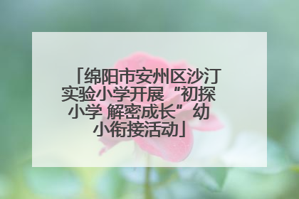 绵阳市安州区沙汀实验小学开展“初探小学 解密成长”幼小衔接活动