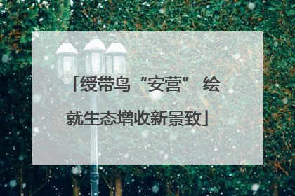 绶带鸟“安营” 绘就生态增收新景致