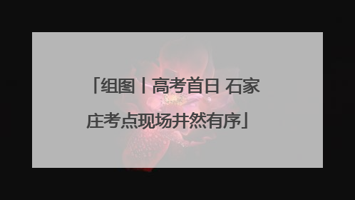 组图丨高考首日 石家庄考点现场井然有序