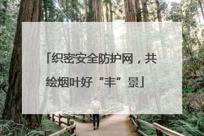 织密安全防护网，共绘烟叶好“丰”景