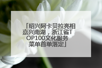 绍兴阿卡贝拉亮相嘉兴南湖，浙江省TOP100文化服务菜单首单落定