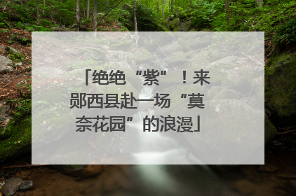 绝绝“紫”！来郧西县赴一场“莫奈花园”的浪漫