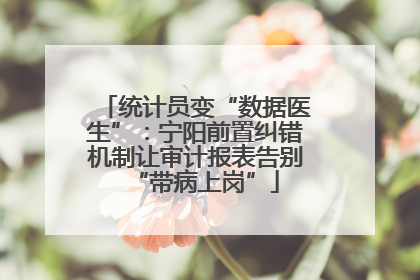统计员变“数据医生”：宁阳前置纠错机制让审计报表告别“带病上岗”