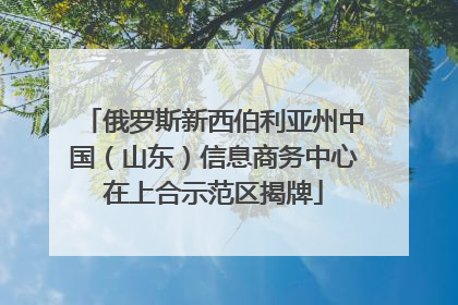 俄罗斯新西伯利亚州中国（山东）信息商务中心在上合示范区揭牌