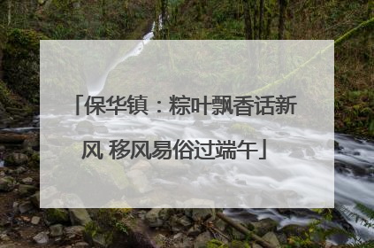 保华镇：粽叶飘香话新风 移风易俗过端午
