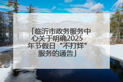 临沂市政务服务中心关于明确2025年节假日“不打烊”服务的通告