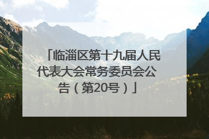 临淄区第十九届人民代表大会常务委员会公告（第20号）