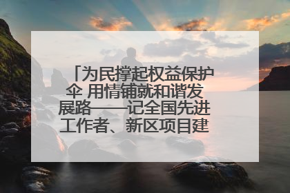 为民撑起权益保护伞 用情铺就和谐发展路——记全国先进工作者、新区项目建设中心干部卢小勇