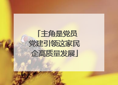 主角是党员 党建引领这家民企高质量发展