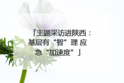 主题采访进陕西：基层有“智”理 应急“加速度”