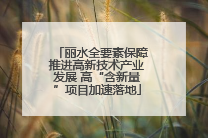 丽水全要素保障推进高新技术产业发展 高“含新量”项目加速落地