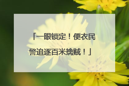 一眼锁定！便衣民警追逐百米擒贼！