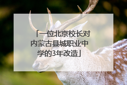 一位北京校长对内蒙古县城职业中学的3年改造
