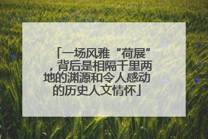 一场风雅“荷展”，背后是相隔千里两地的渊源和令人感动的历史人文情怀