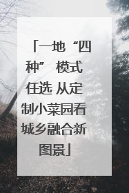 一地“四种” 模式任选 从定制小菜园看城乡融合新图景