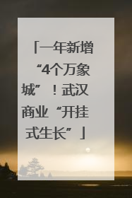 一年新增“4个万象城”！武汉商业“开挂式生长”
