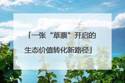 一张“草票”开启的生态价值转化新路径