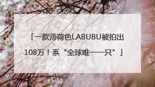一款薄荷色LABUBU被拍出108万！系“全球唯一一只”