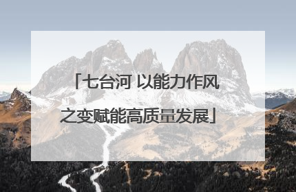 七台河 以能力作风之变赋能高质量发展