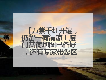 万紫千红开遍，仍留一荷清凉！厦门赏荷地图已备好，还有专家带您区分荷与莲→