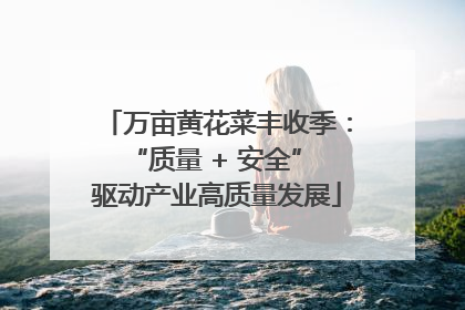 万亩黄花菜丰收季：“质量 + 安全” 驱动产业高质量发展
